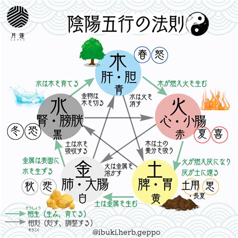 陰と陽|陰陽五行説 – 陰陽道・五行説をわかりやすく解説【図。